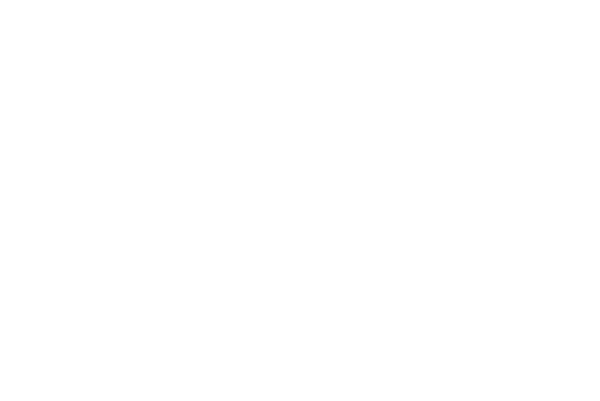 MTX Secondary Logo